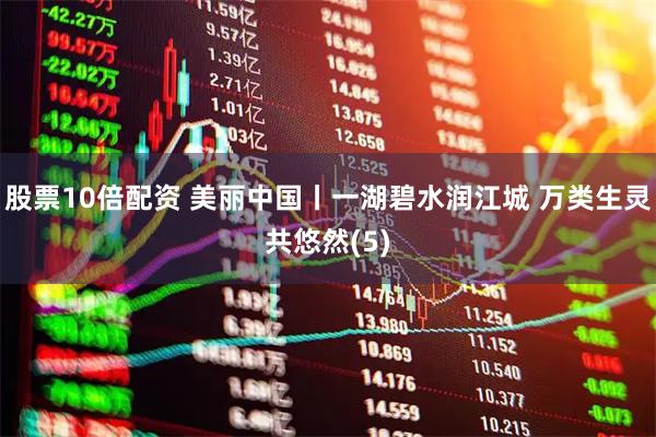股票10倍配资 美丽中国丨一湖碧水润江城 万类生灵共悠然(5)
