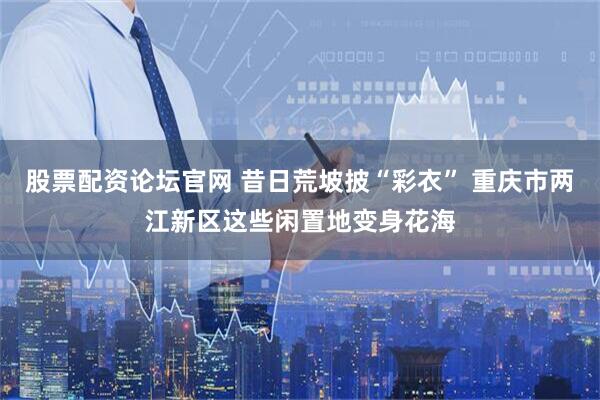 股票配资论坛官网 昔日荒坡披“彩衣” 重庆市两江新区这些闲置地变身花海